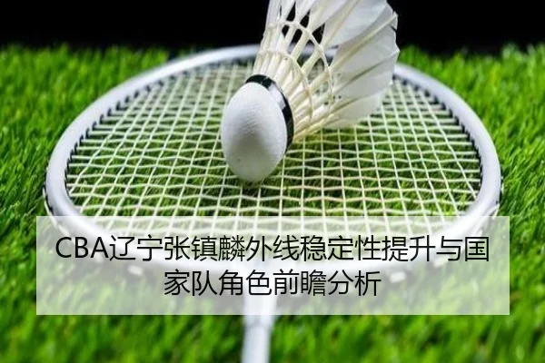 CBA辽宁张镇麟外线稳定性提升与国家队角色前瞻分析